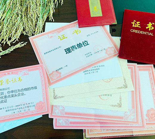  盤錦綠傲米業有限公司簡介！